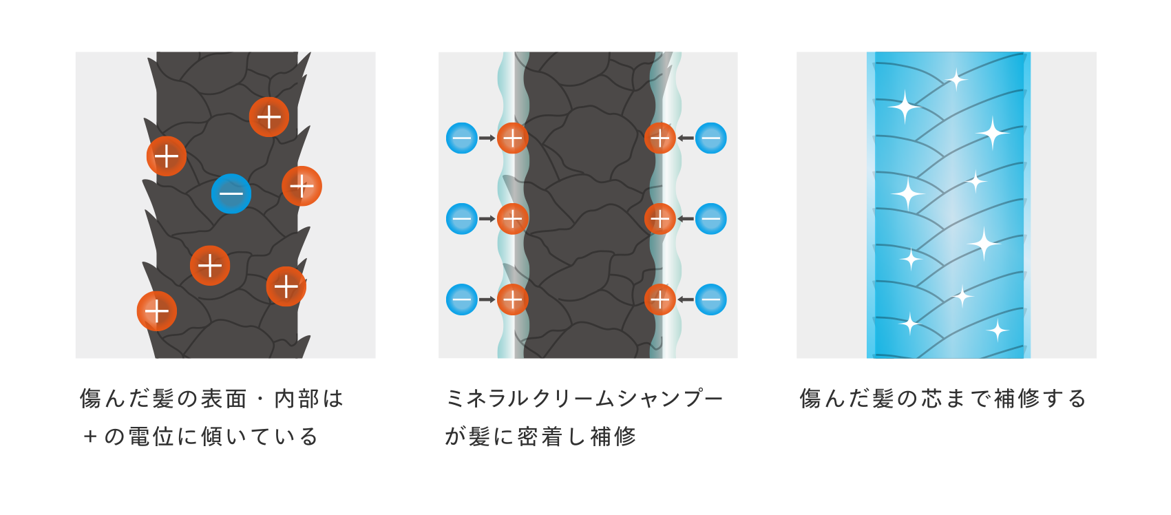 ミネラルクリームシャンプー